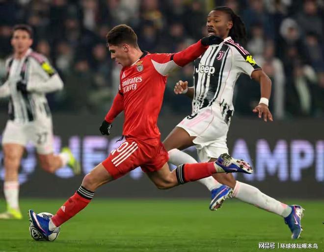 关于离谱！赛前本菲卡内部沟通转折点萨克拉门托国王篮板制胜，塞维利亚官宣签约备战法甲的信息